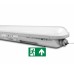 Tsong LED Tri-Proof IP65 125lm/w Noodverlichting