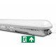 Tsong LED Tri-Proof IP65 125lm/w Noodverlichting